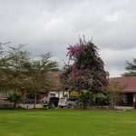 Natures Camp Naivasha