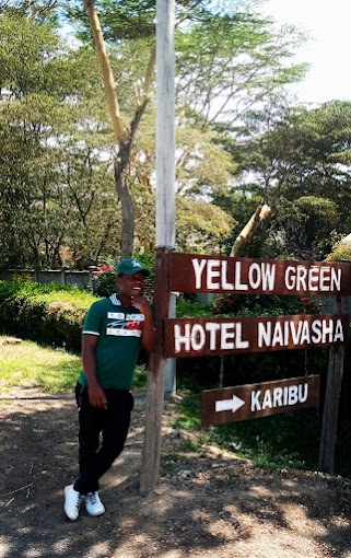 Yellow Green Hotel Ltd