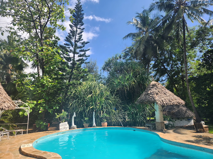 Dream Of Africa