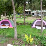 Sofa Camp Naivasha