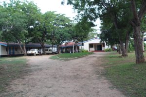 Tana Delta Resort