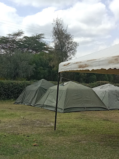 Buffalo View Resort