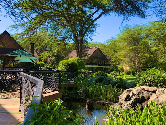 Sawela Lodge