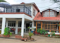Yellow Green Hotel Ltd