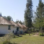 Lake Naivasha Ymca Camp