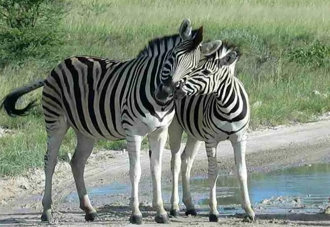 Malka Mari National Park